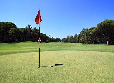 DCR Municipal Golf Courses