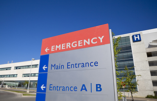 Federal Government Markets