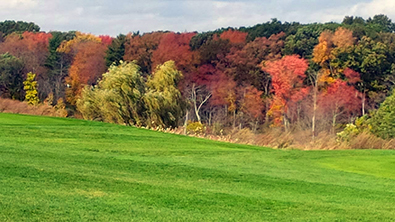 Sassamon Trace Golf Course