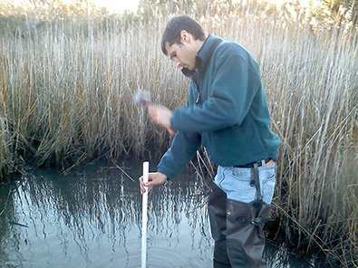 Site Survey_GIS_Wetlands Studies