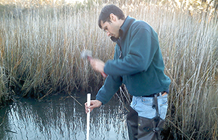 Site Survey_GIS_Wetlands Studies_Thumbnail